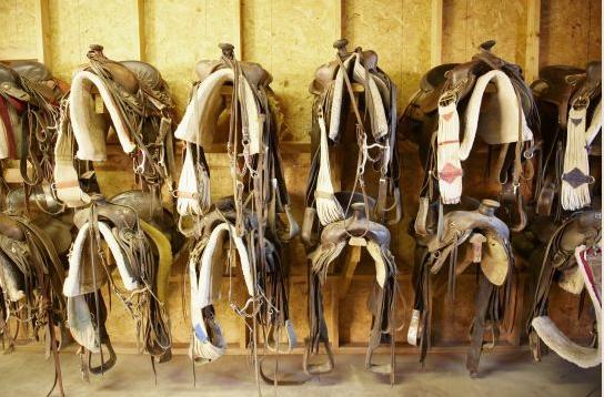Rancho De Los Caballeros ウィッケンバーグ エクステリア 写真
