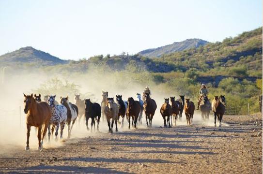 Rancho De Los Caballeros ウィッケンバーグ エクステリア 写真