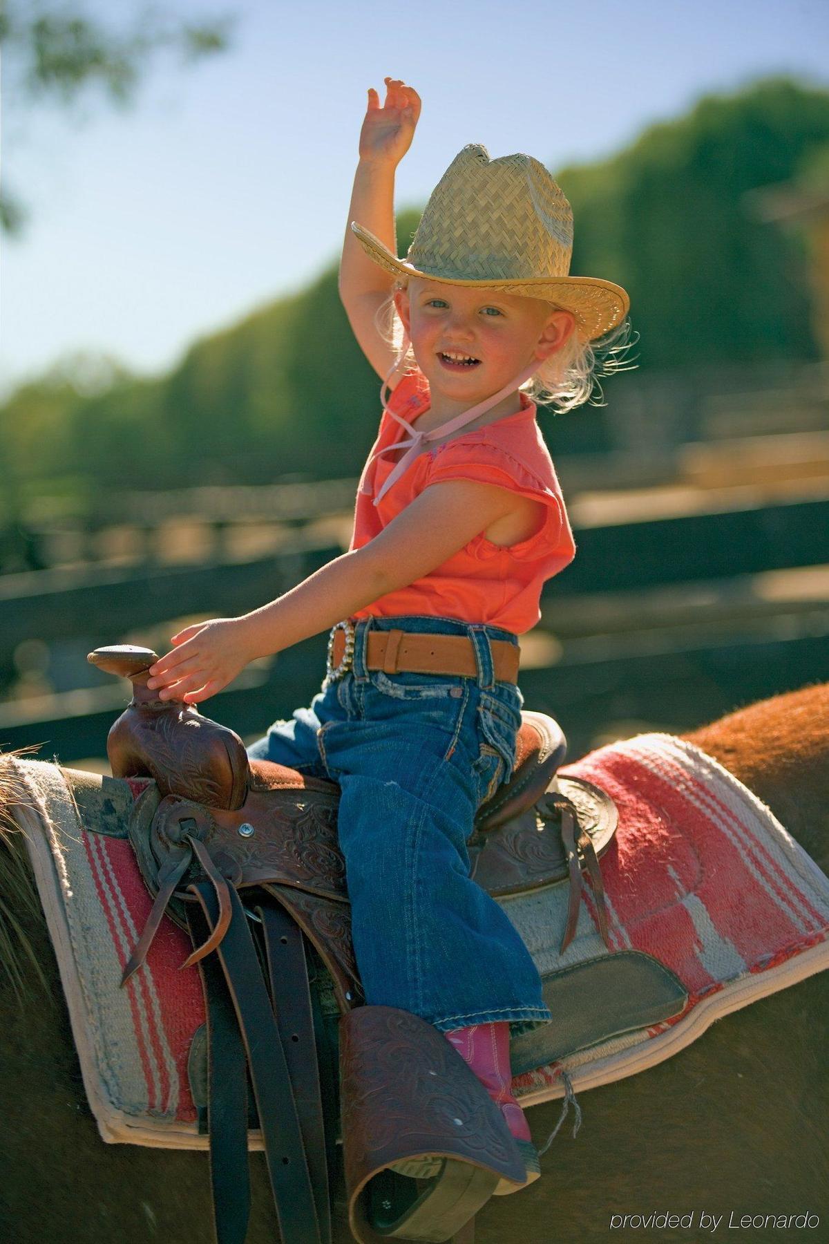 Rancho De Los Caballeros ウィッケンバーグ エクステリア 写真