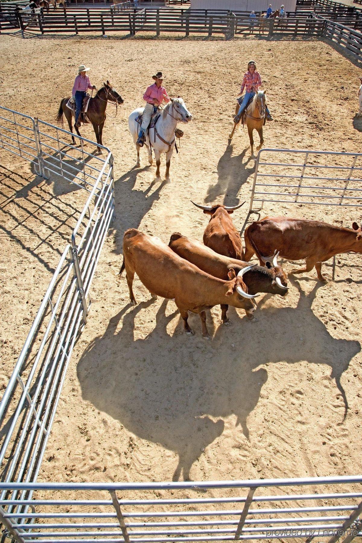 Rancho De Los Caballeros ウィッケンバーグ エクステリア 写真