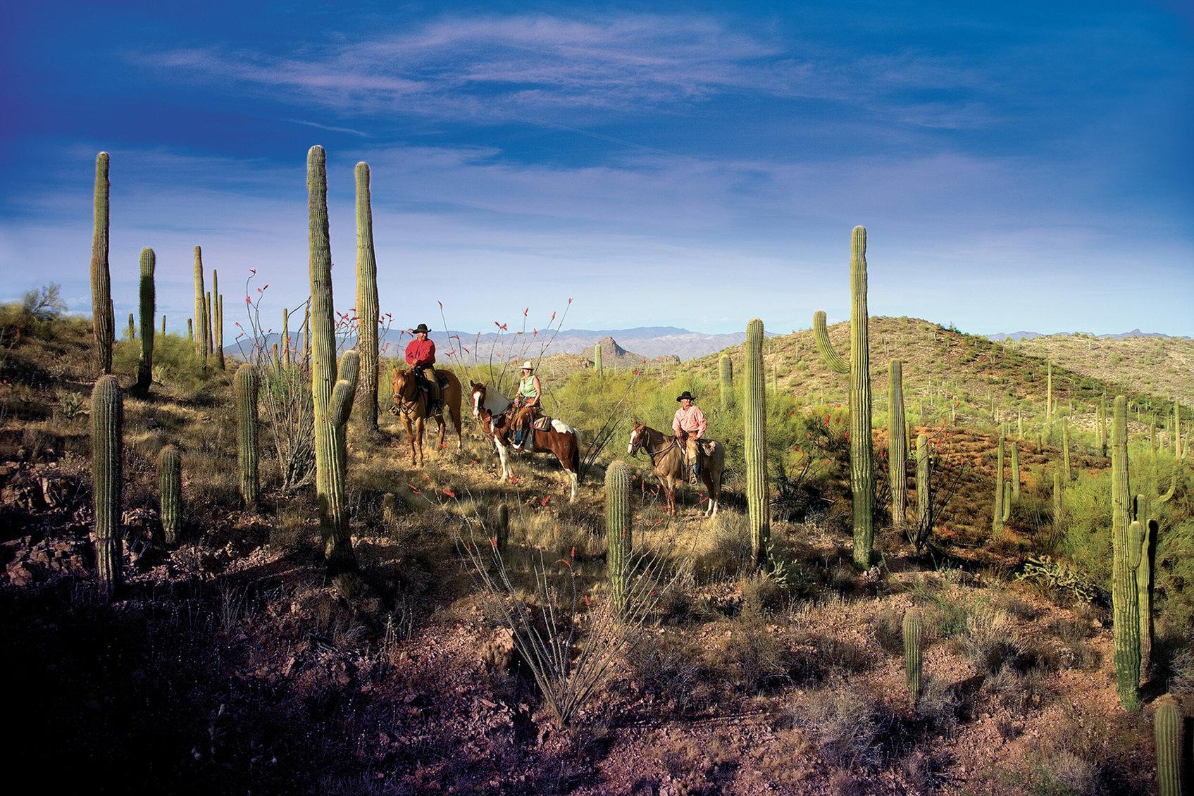 Rancho De Los Caballeros ウィッケンバーグ エクステリア 写真